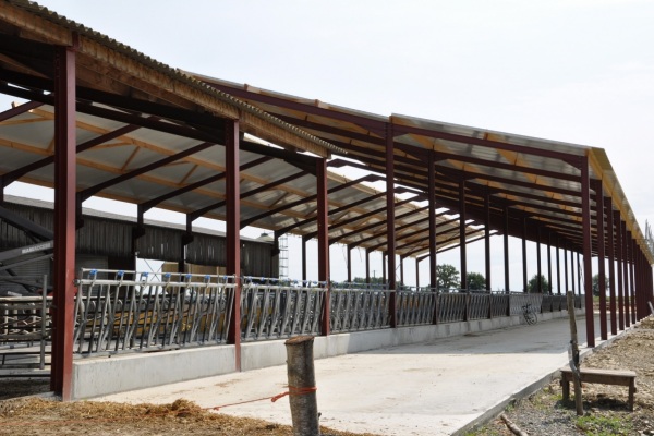 Construction de stabulation vache en Vendée
